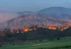 SLP suma 54 incendios forestales y más de 20 mil hectáreas dañadas