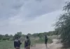 ¡Macabro hallazgo en Cerro de San Pedro! Encuentran hombre ejecutado en parcela
