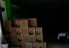Videos exhiben traslado de apoyos sociales desde instalaciones del PVEM