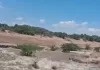 Segundo día de crisis de agua por falla de El Realito