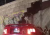 Tragedia tras tragedia en SLP; cobran tres vidas y múltiples lesionados